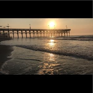 Meet your Posher, Alexxis